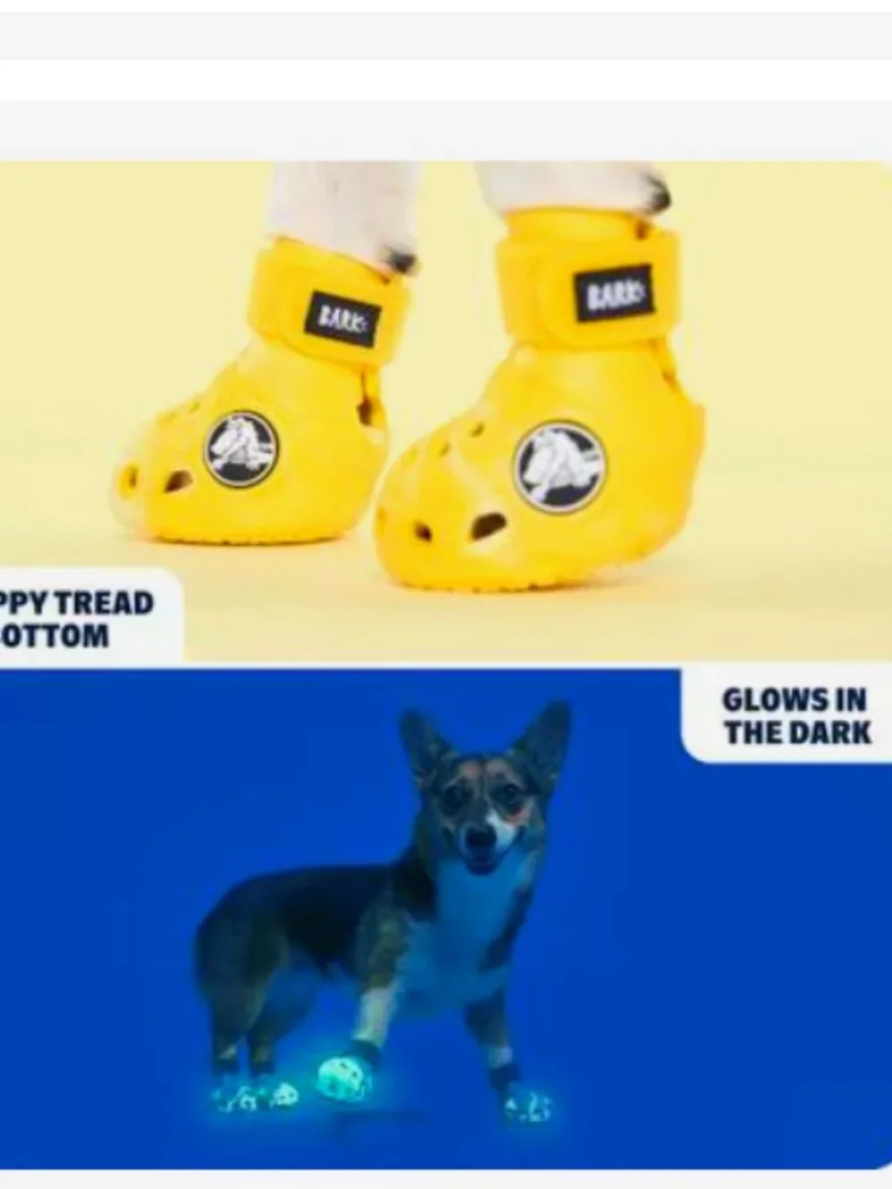 Bark Crocs for Dogs